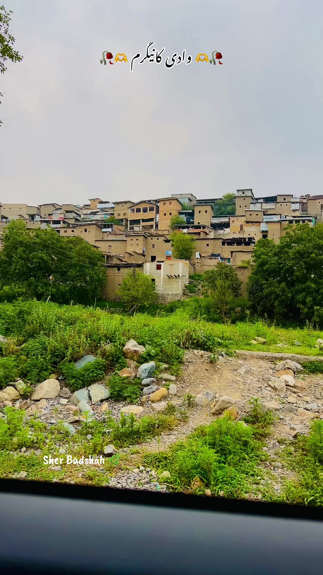@𝐒𝐡𝐞𝐫 𝐁𝐚𝐝𝐬𝐡𝐚𝐡 🌿