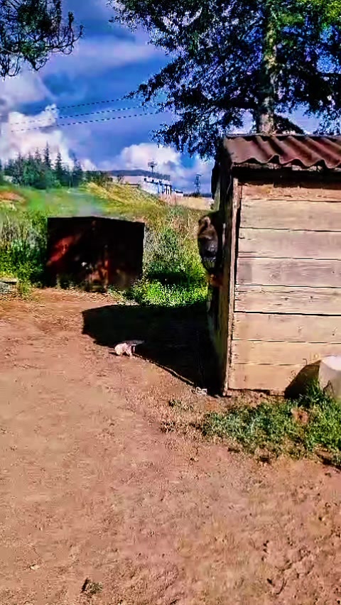 @🦋🇹🇷mrt__06🇹🇷🦋