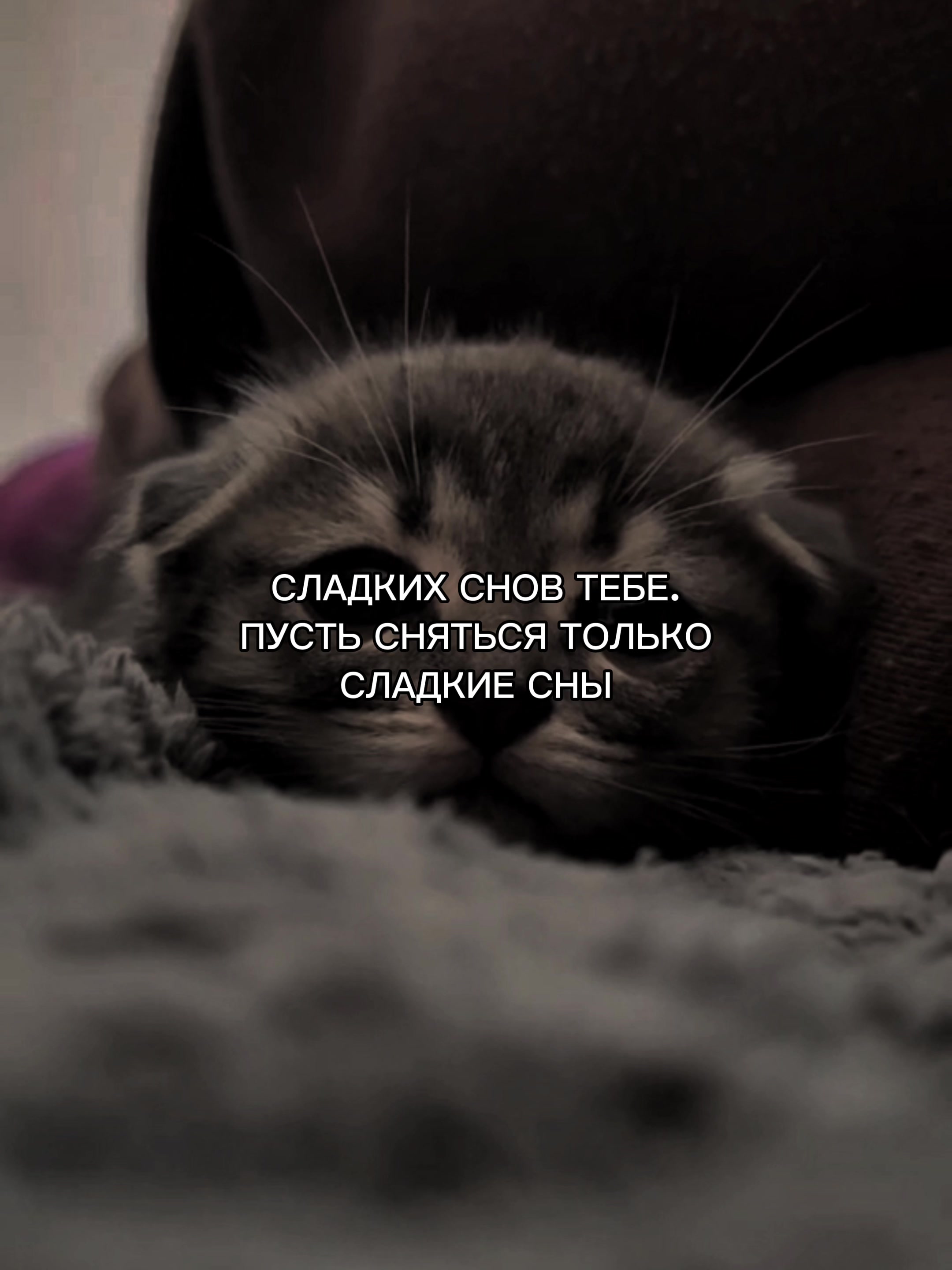 @ХХИКА