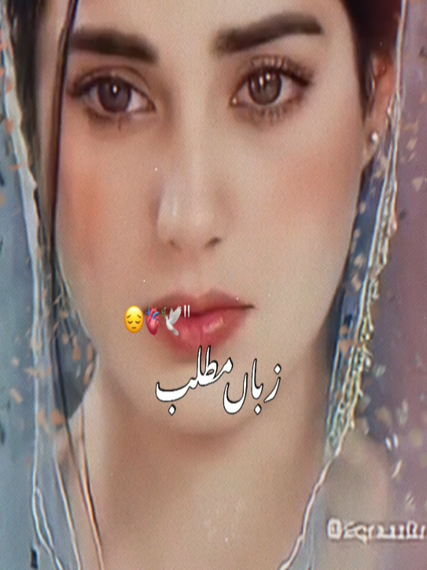 @Saeed Shah ❤️🔥