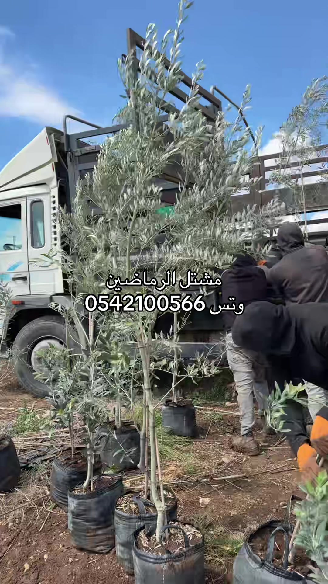 @مشتل الرماضين 0542100566