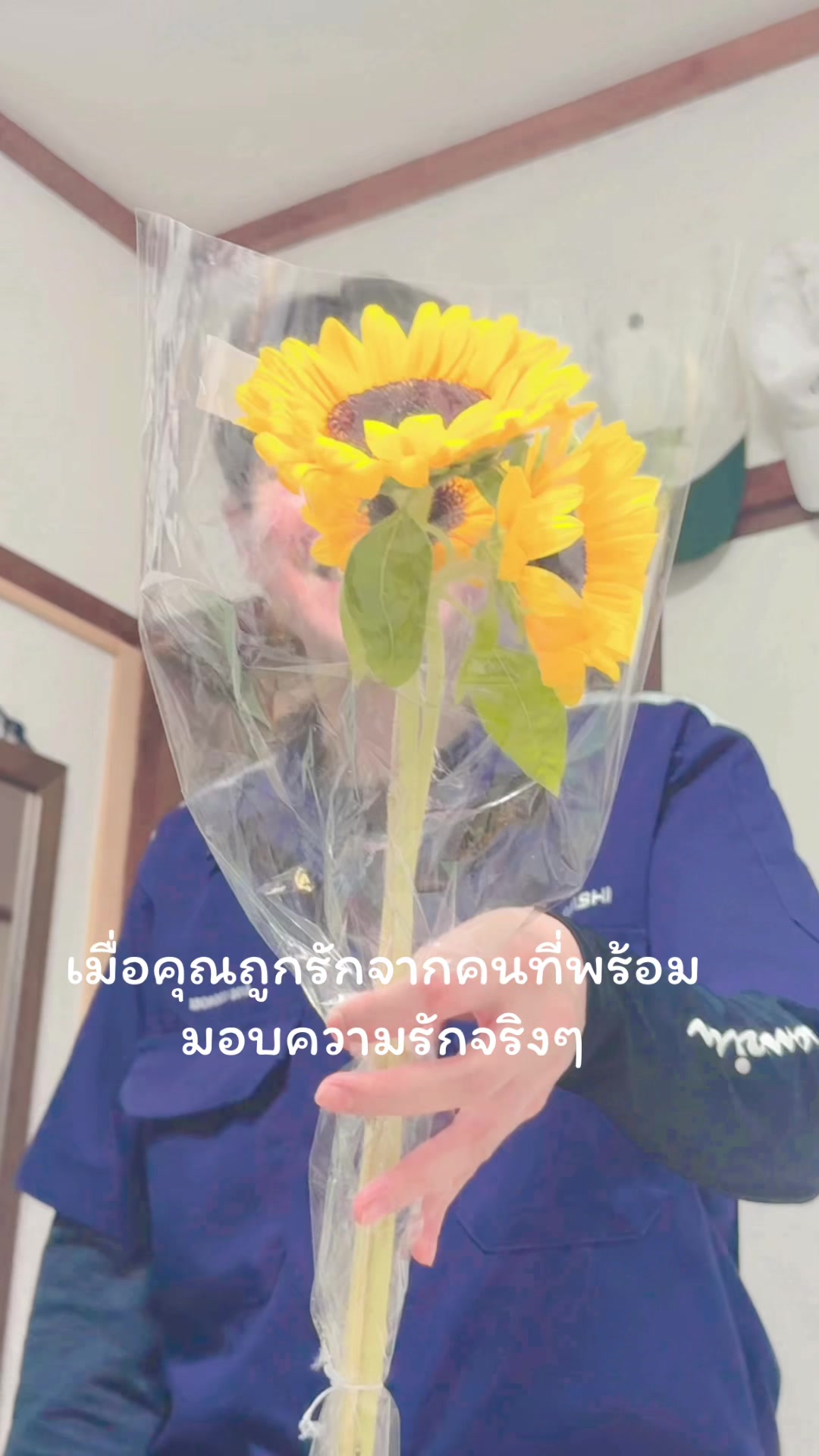 @mcmxciii_xix🪼🐾