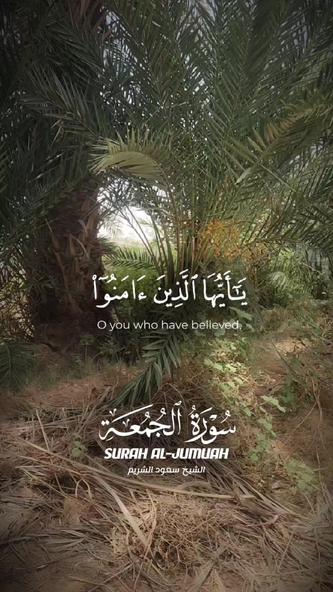 @فوزي باعلوي