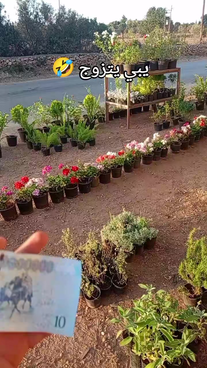 @مشتل الرحمن