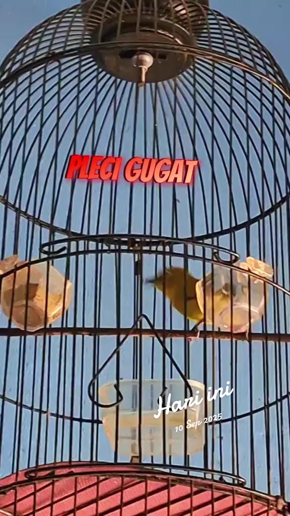 @totalbukpar