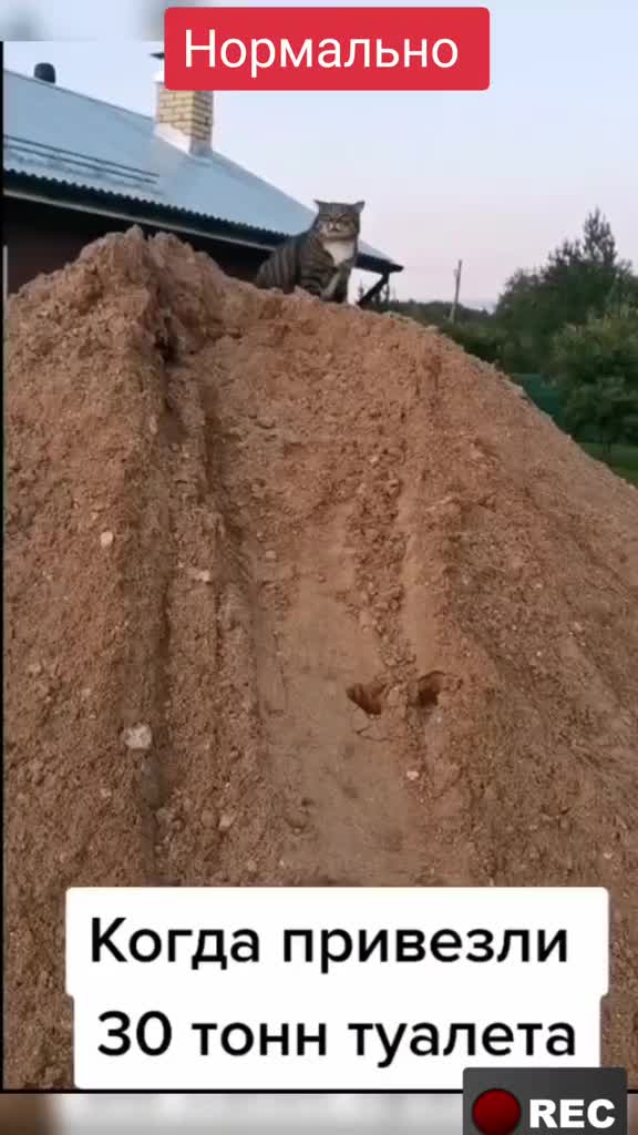 @Лариса