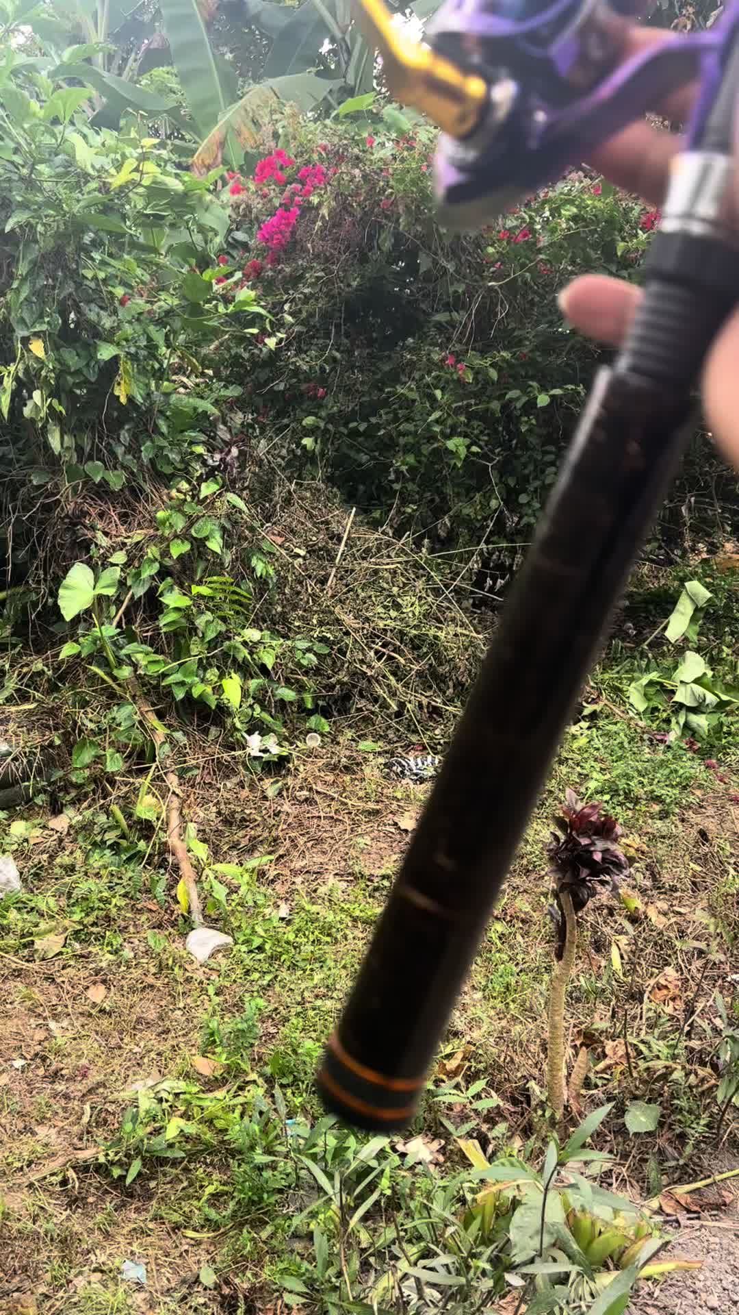 @KALES DEVATA