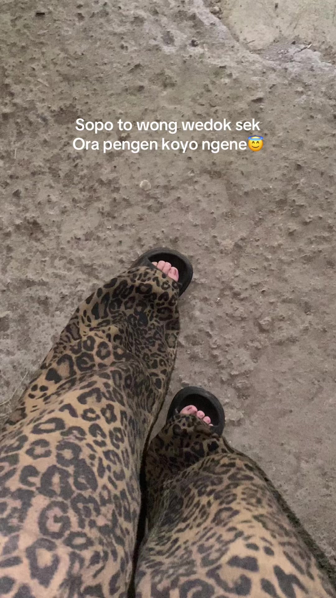 @NONA_SOFI