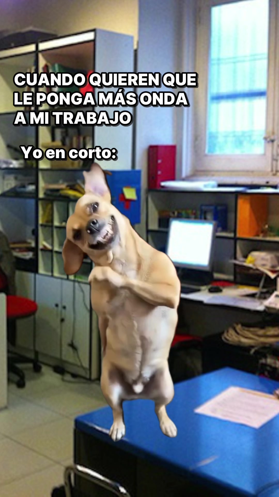 @Diego Castellanos
