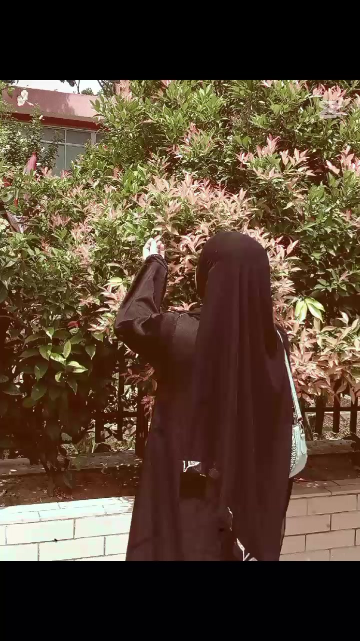@🌸𝓣𝓸𝓢𝓲𝓑'𝓢  𝓠𝓾𝓮𝓔𝓝 ❤️