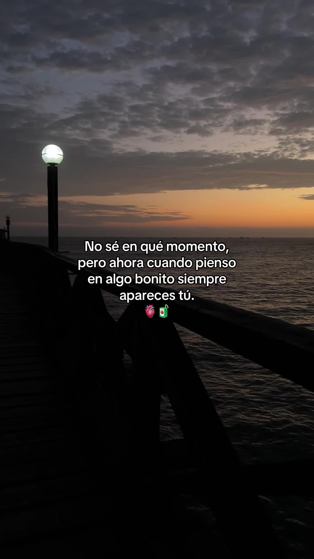 @Gatocix 🐱