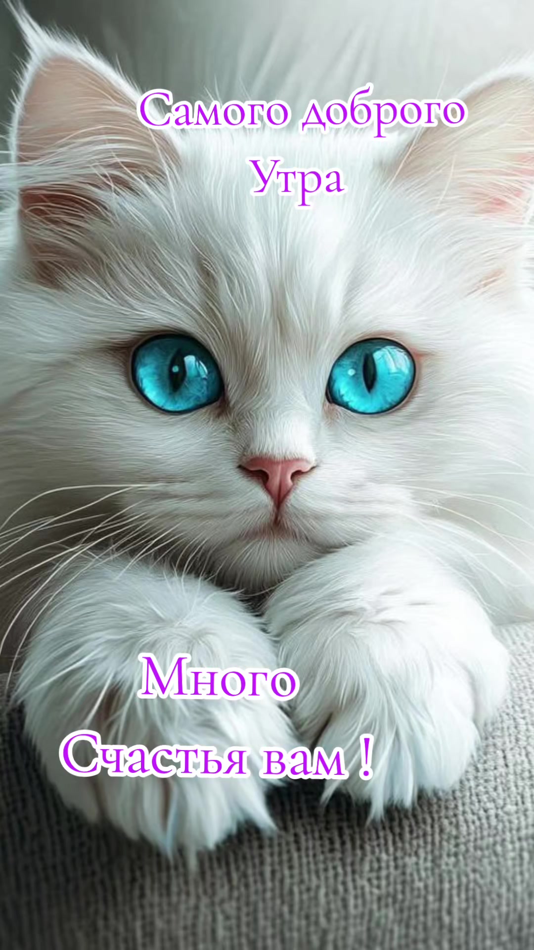 @Ирина
