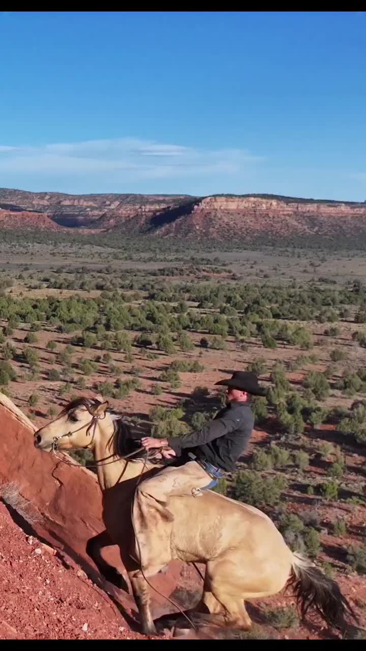 @horse 🐎