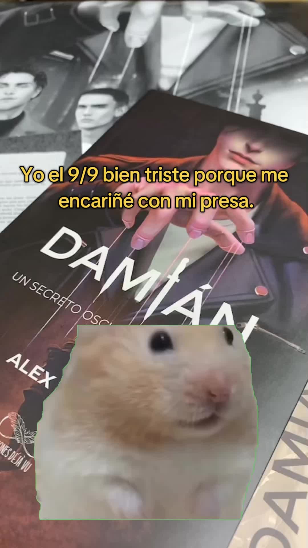 @Reyner Andr&eacute;s🦖