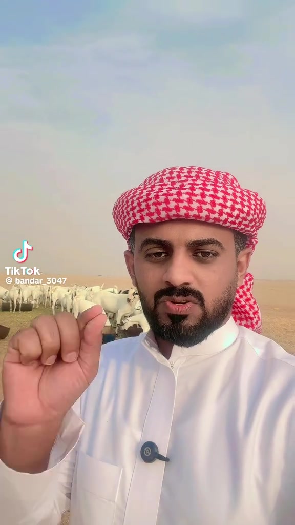 @mohamed_ksa0