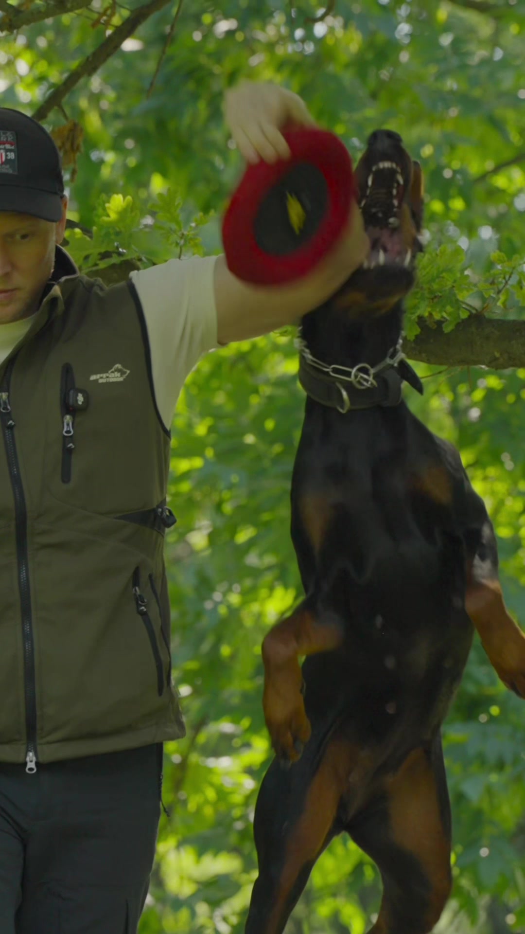 @Djudi_Doberman