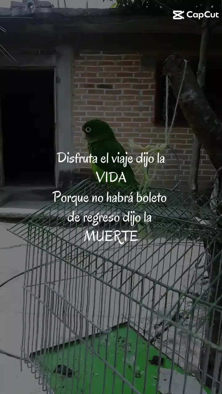 @Guillermo MoralesHernandez