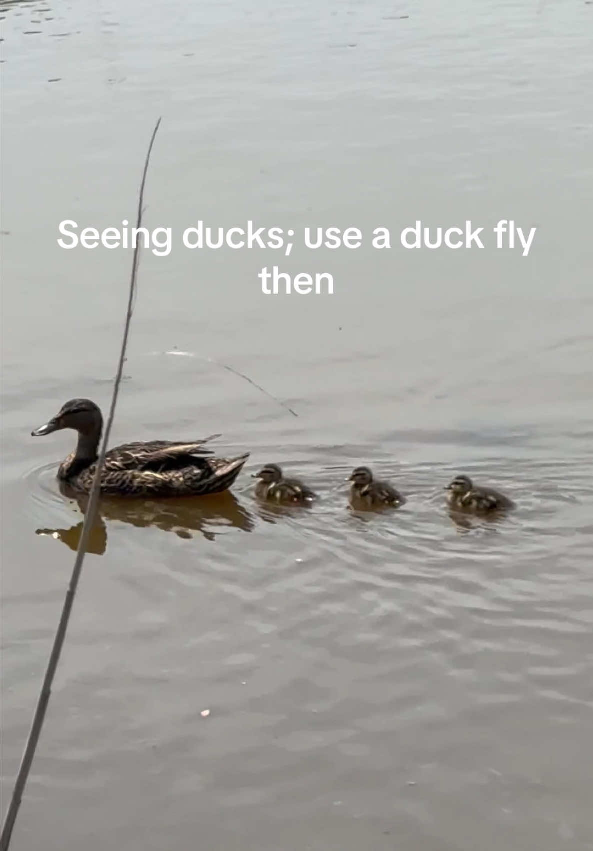 @FlyFishDelawhere