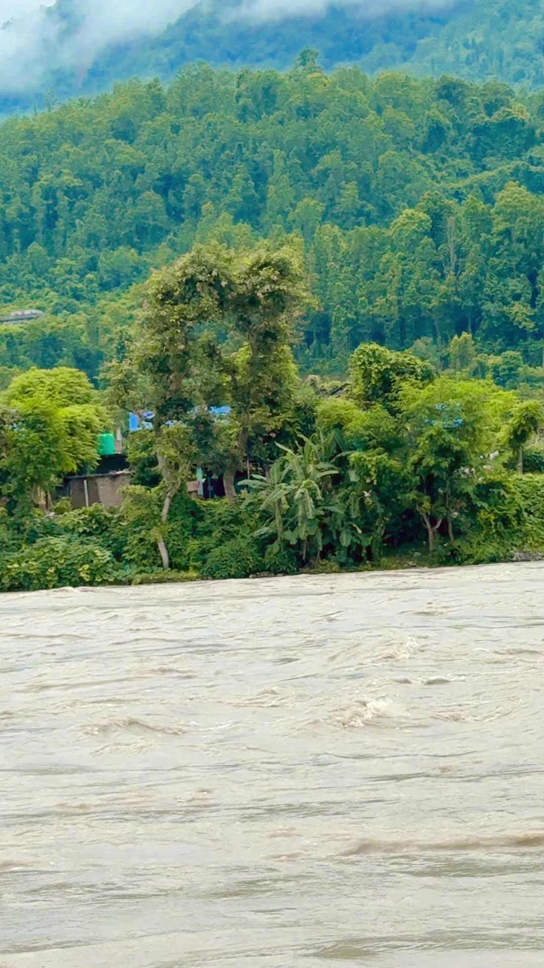 @Dhana BC Regmi