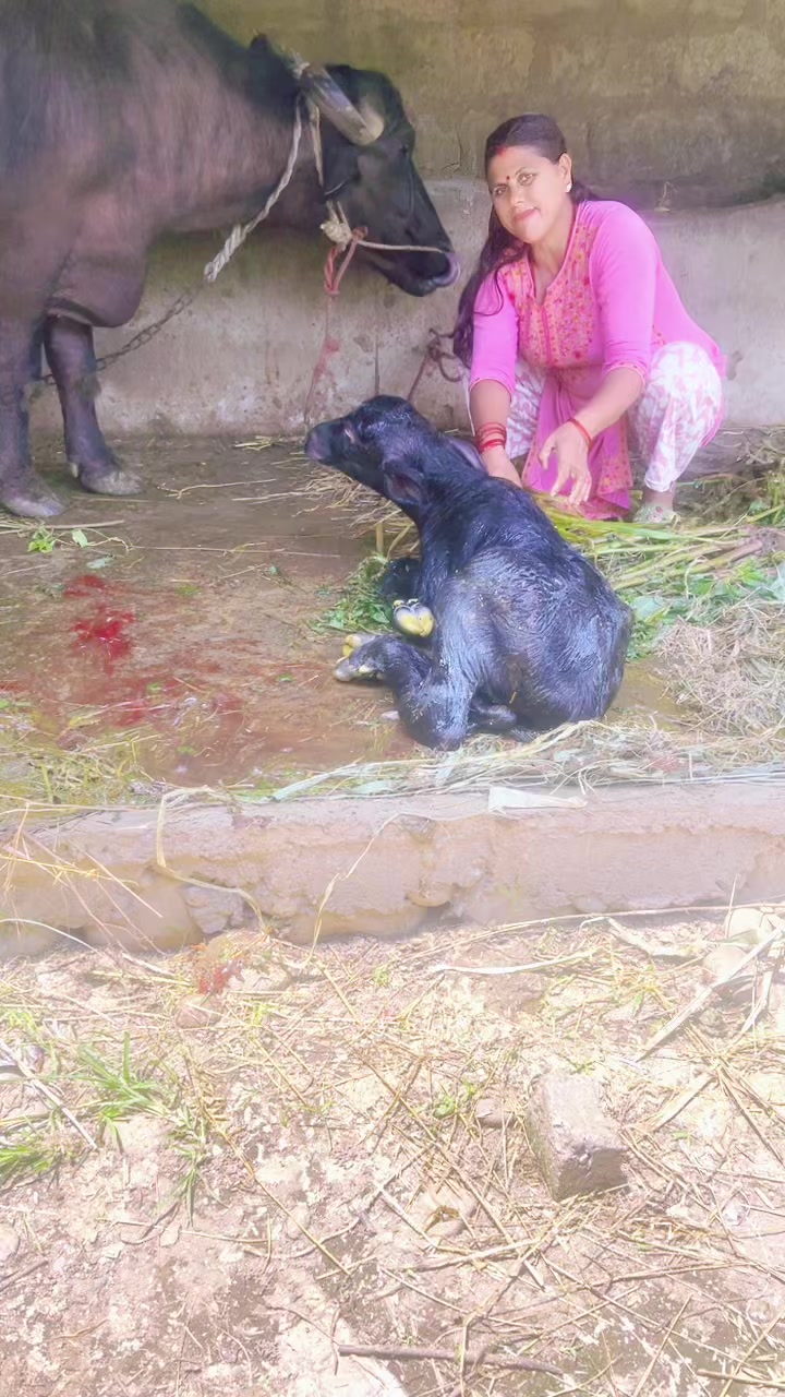 @Sakuntala Pandit459