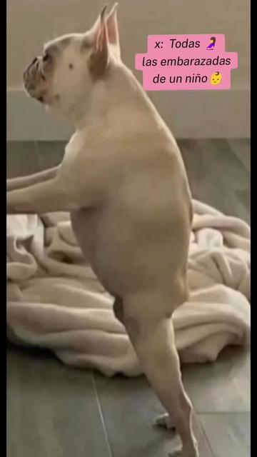 @Soysheilasmith