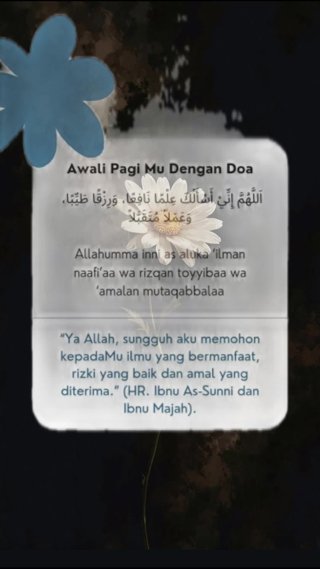 @shEdear🌸