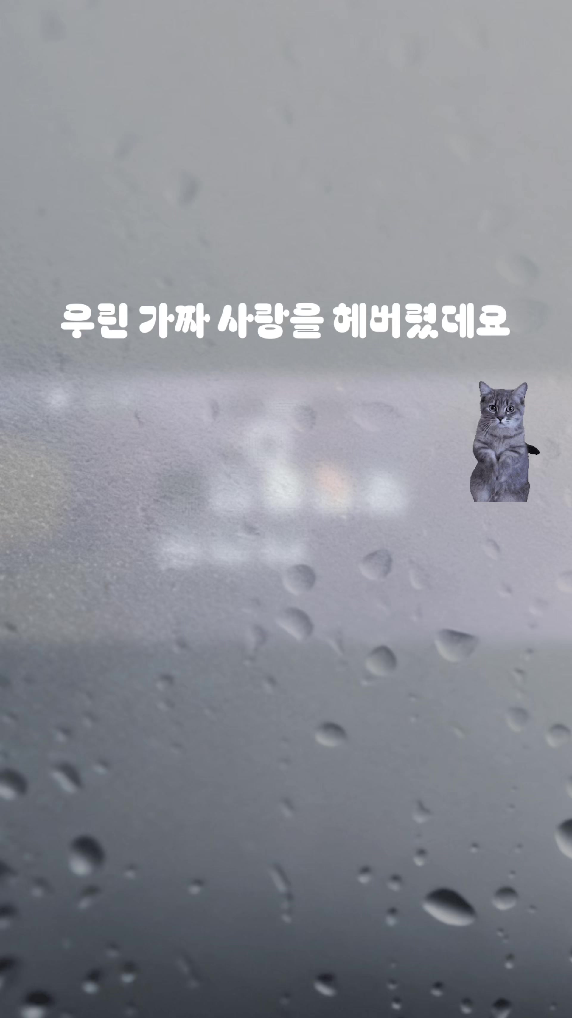 @외로운 강둥이