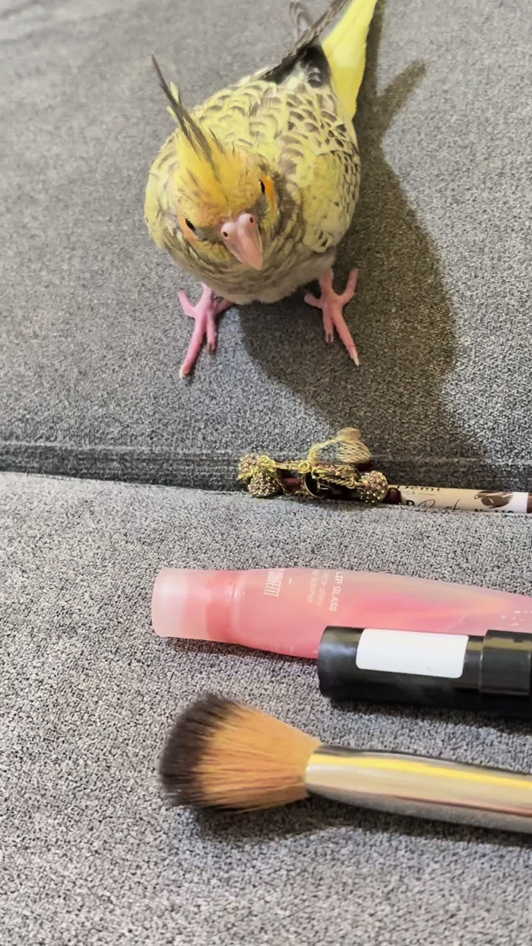 @Mu_Na🧿