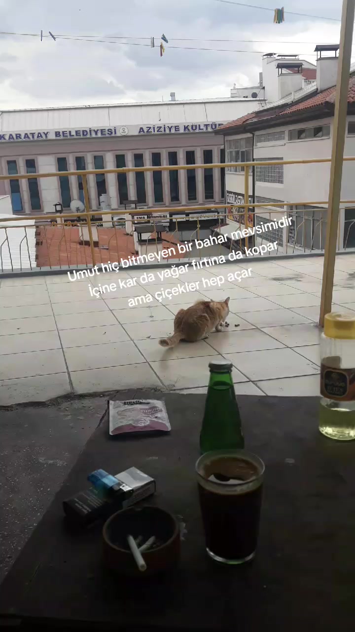 @Ismet Şahin188