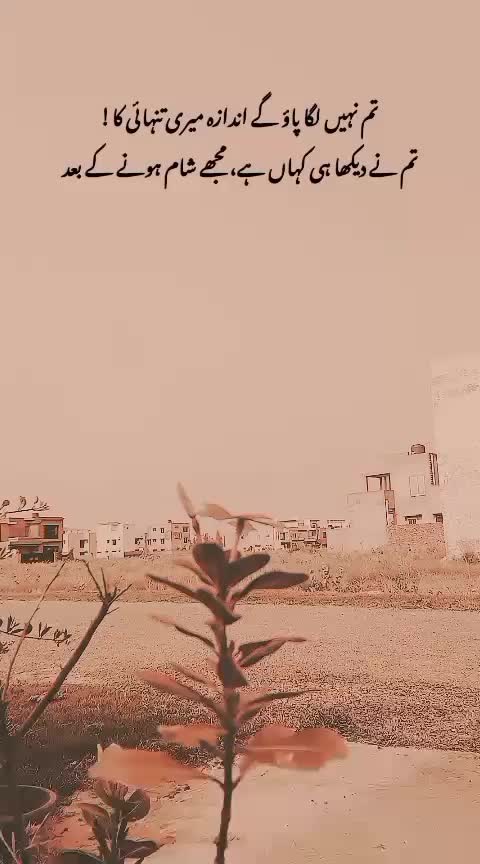 @میرا عشق کزن 🌝