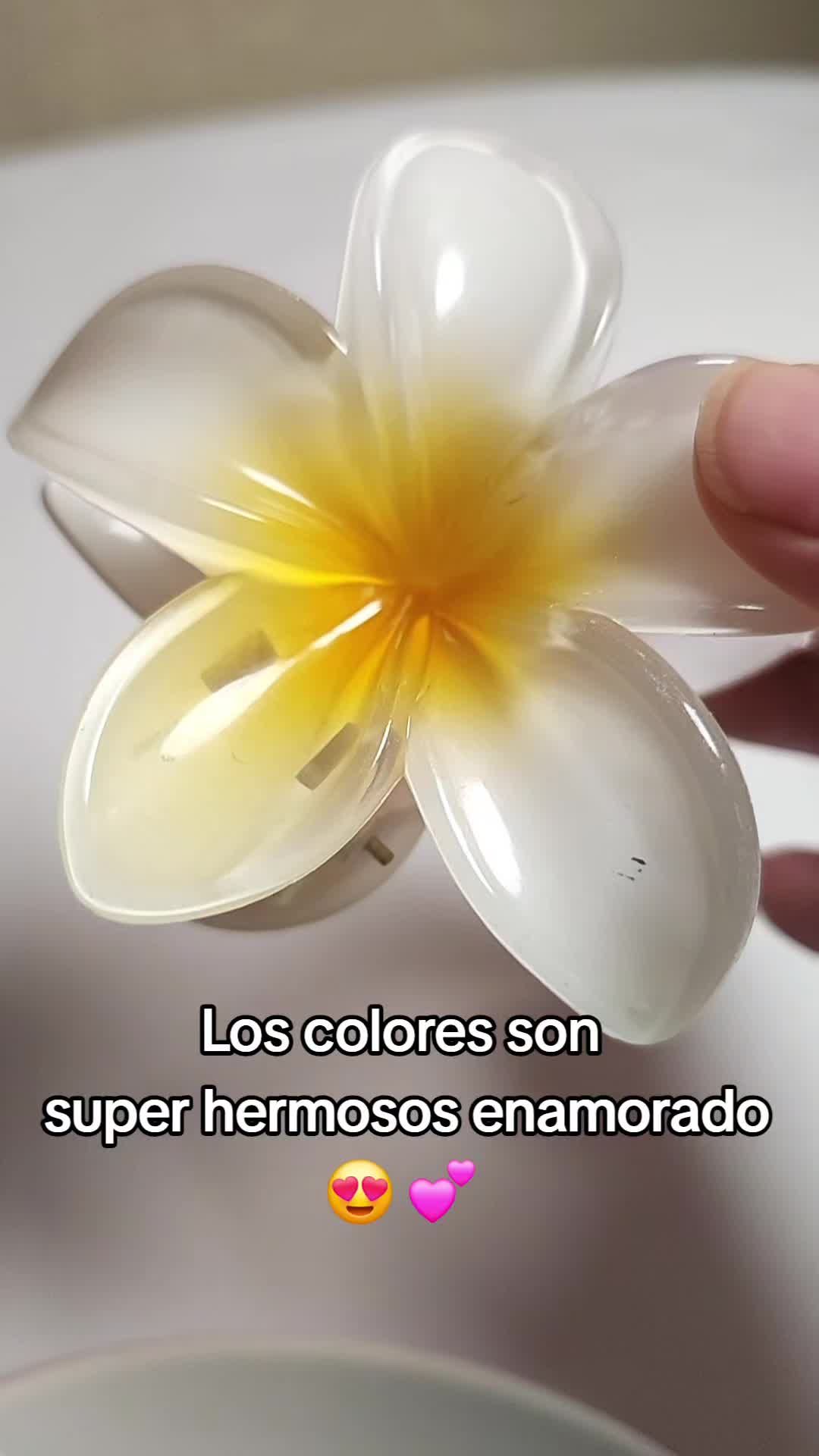 @Evelyn Lorenzo