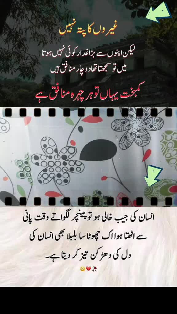 @shakir