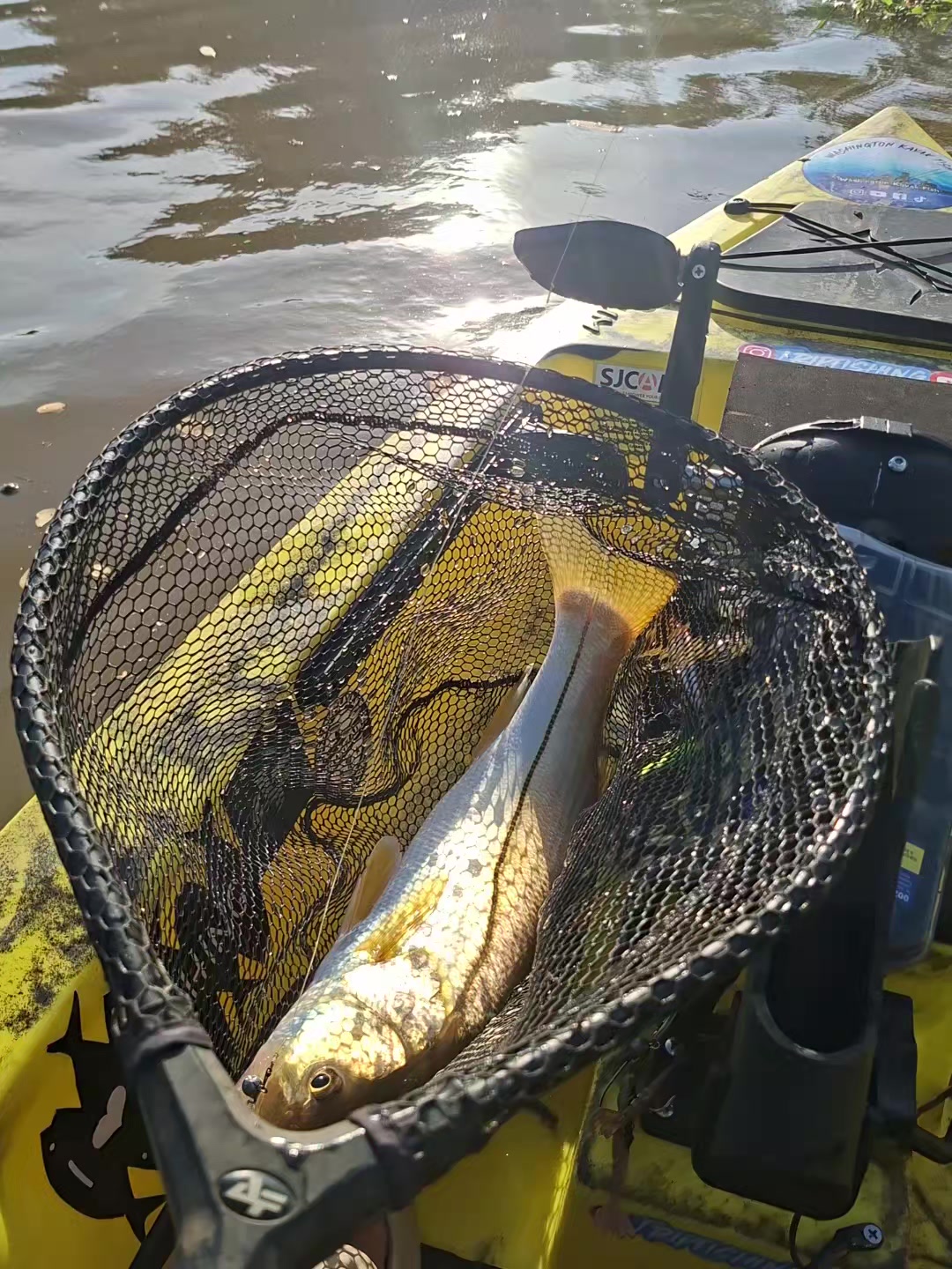 @Washington kayak fish