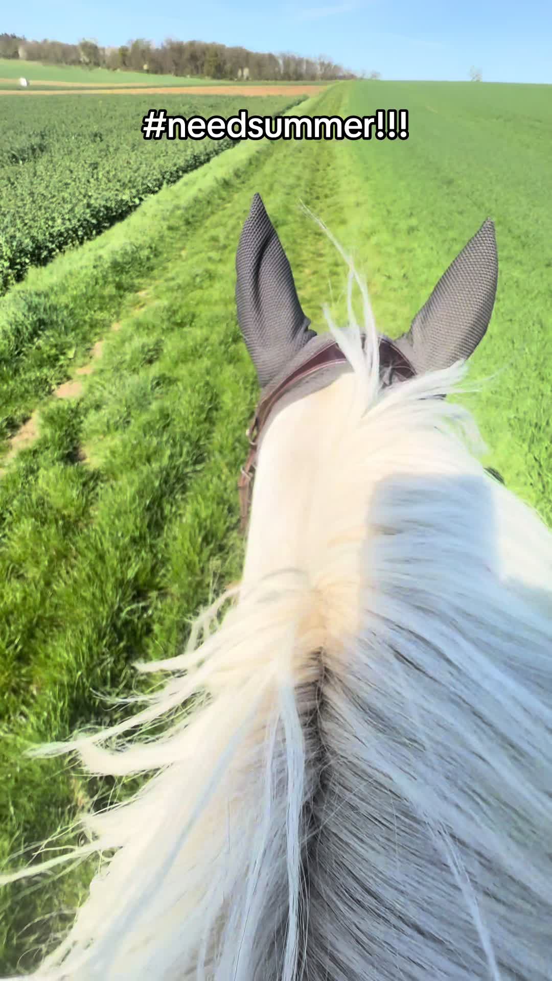 @lea_ponyeventing
