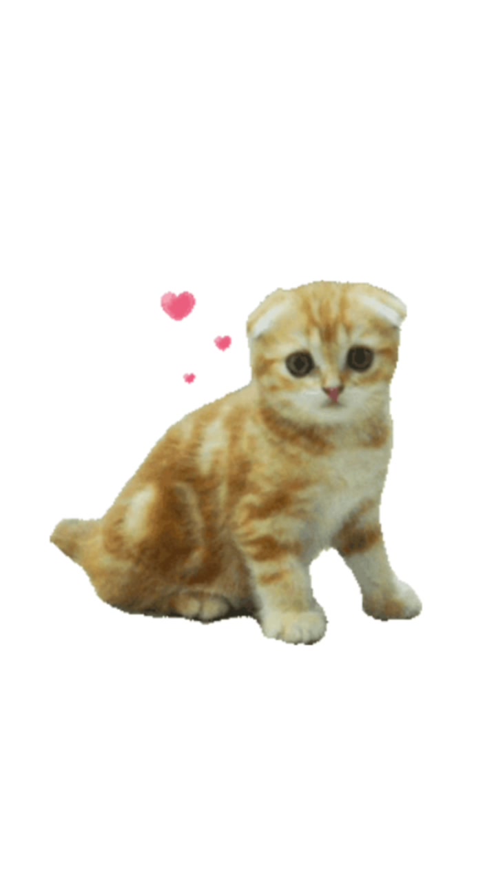 @☆tasi☆