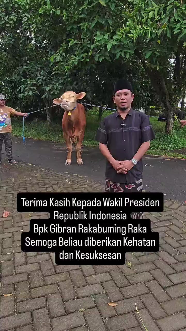 @SAI