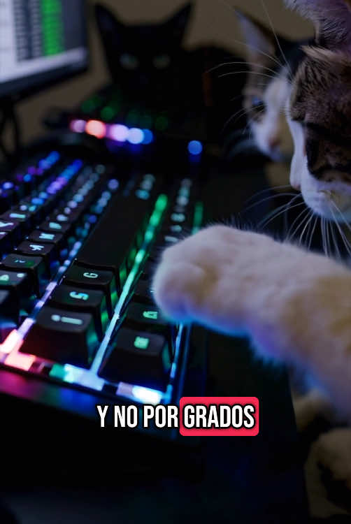 @CodeKaan