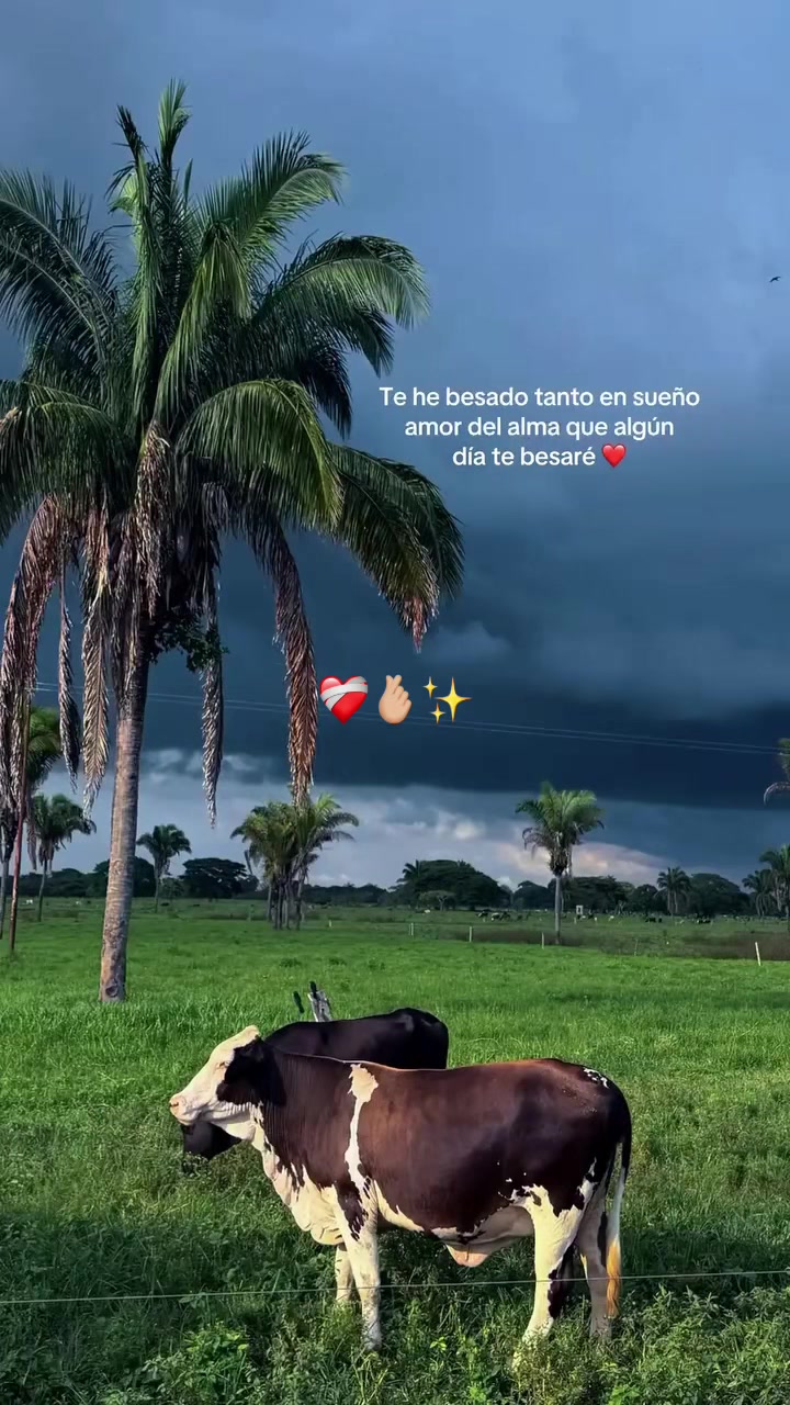 @LUISAFERNANDA✨🌷🐚
