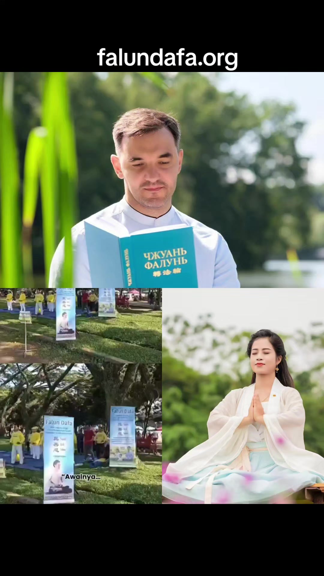 @Hoa Hải