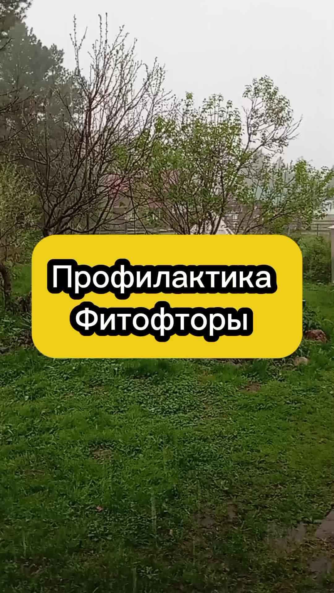 @Ogorodozigzag
