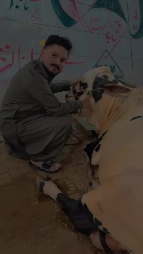 @Saim Khan 🔥👑🖤