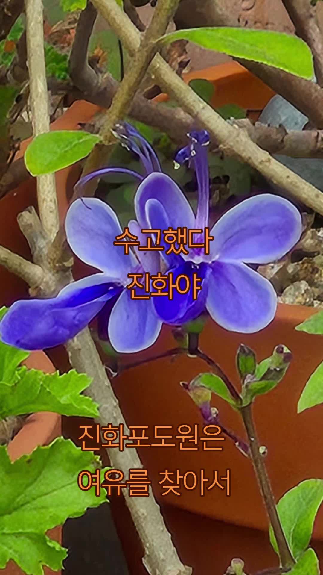 @진화포도원