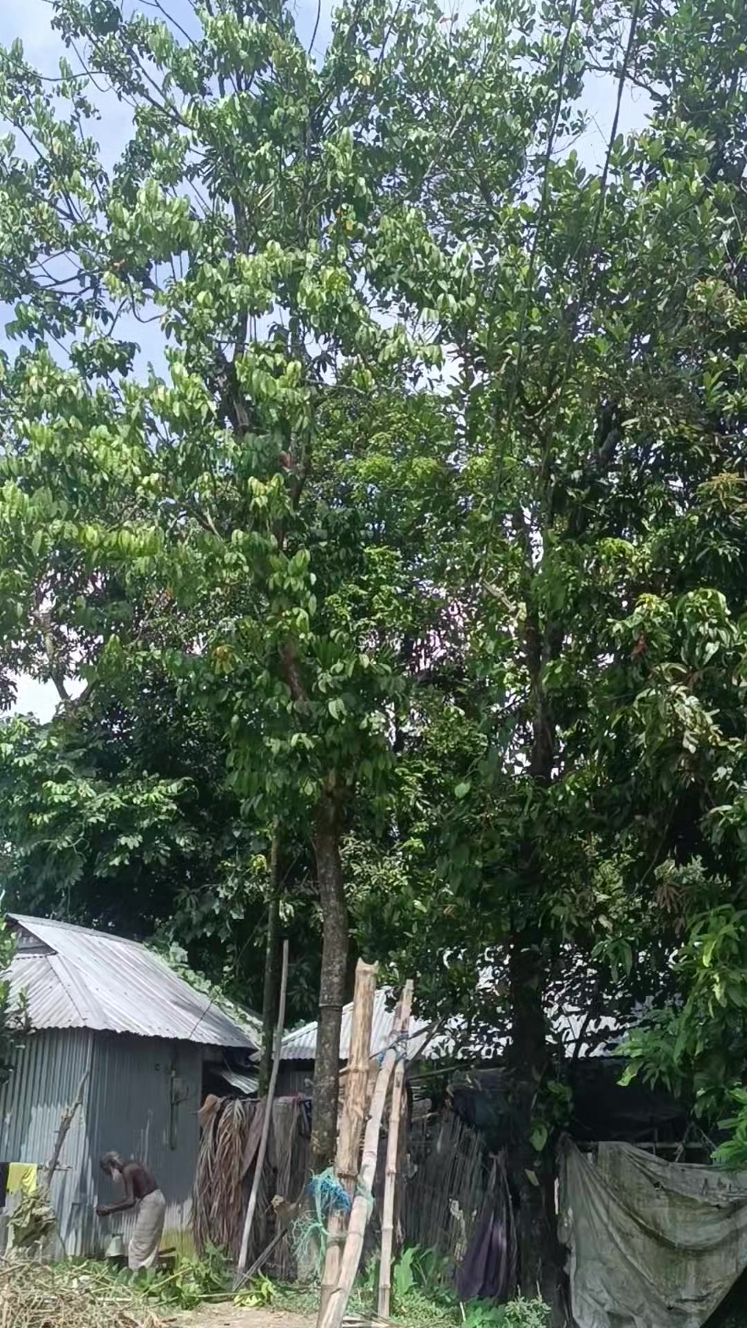 @আকলিমা আক্তার9999