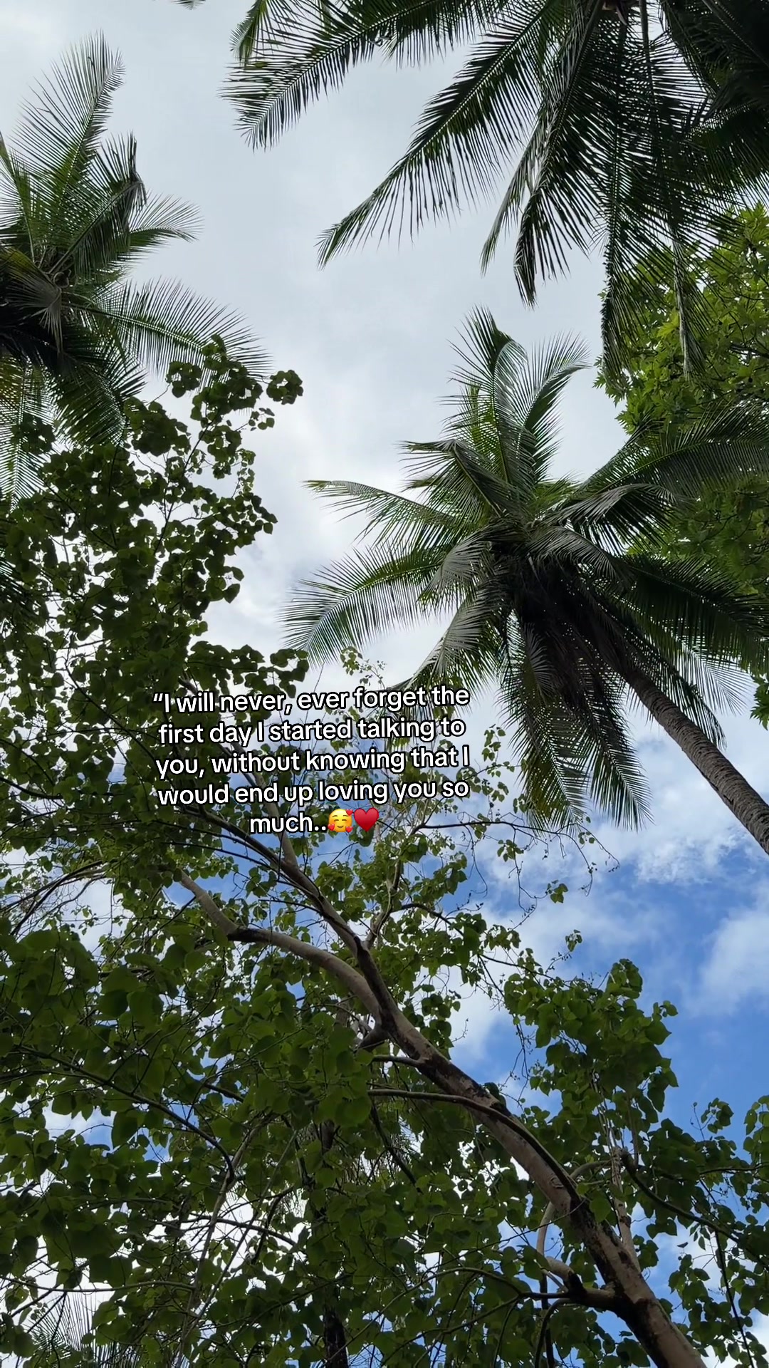 @M♡A 🍃