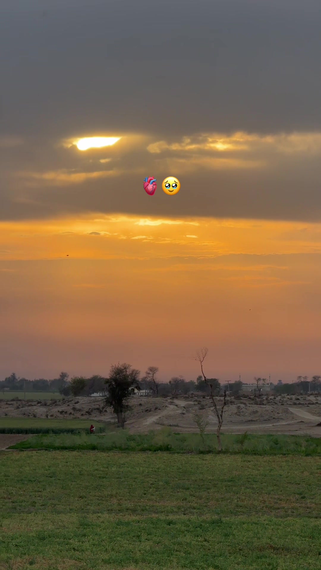 @سوہنا پنجاب🌾🫀