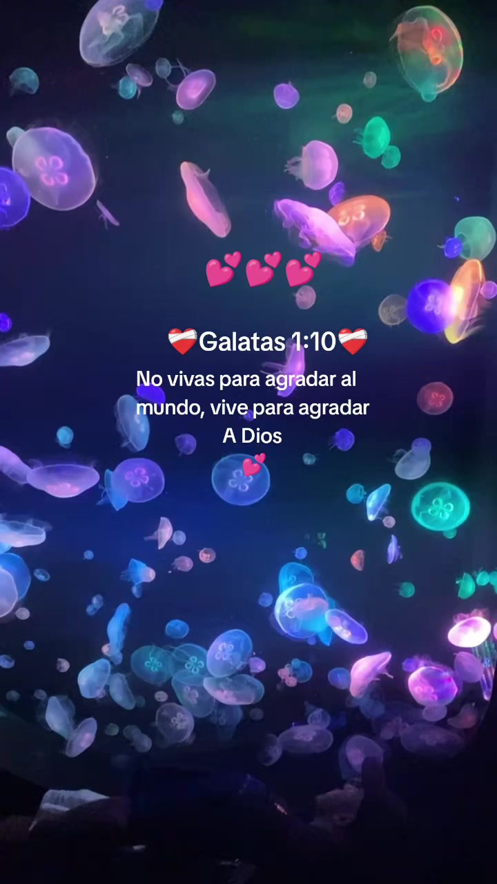 @Lis s