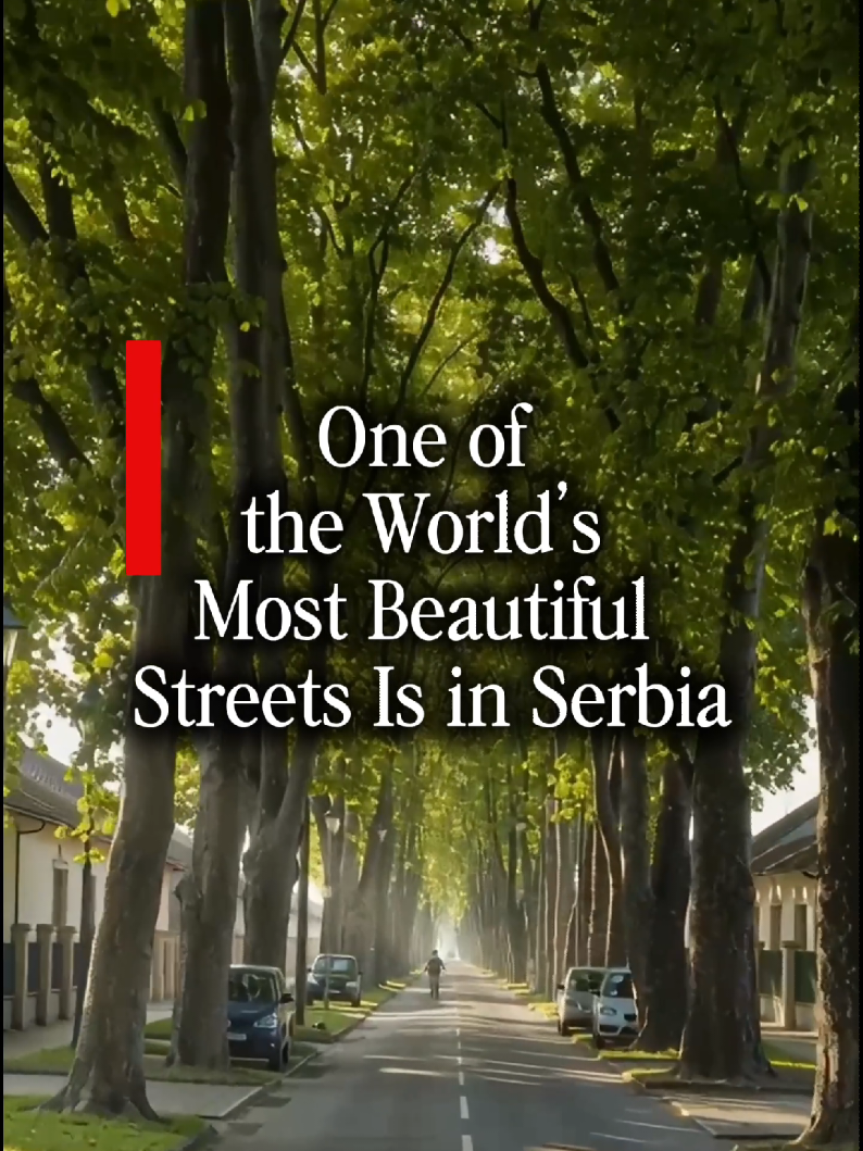 @serbia. actually