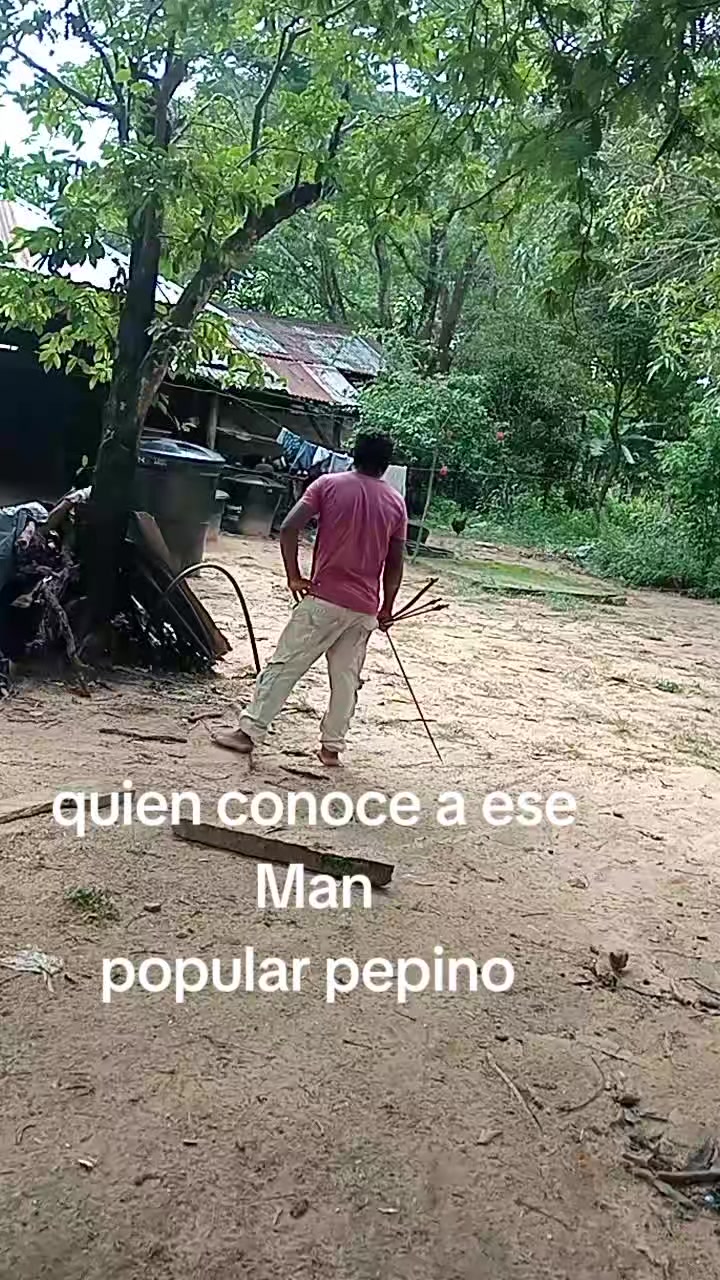 @luiswayasi.