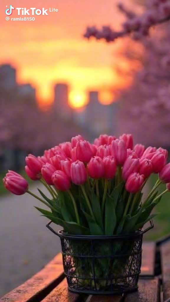 @abdulsattar