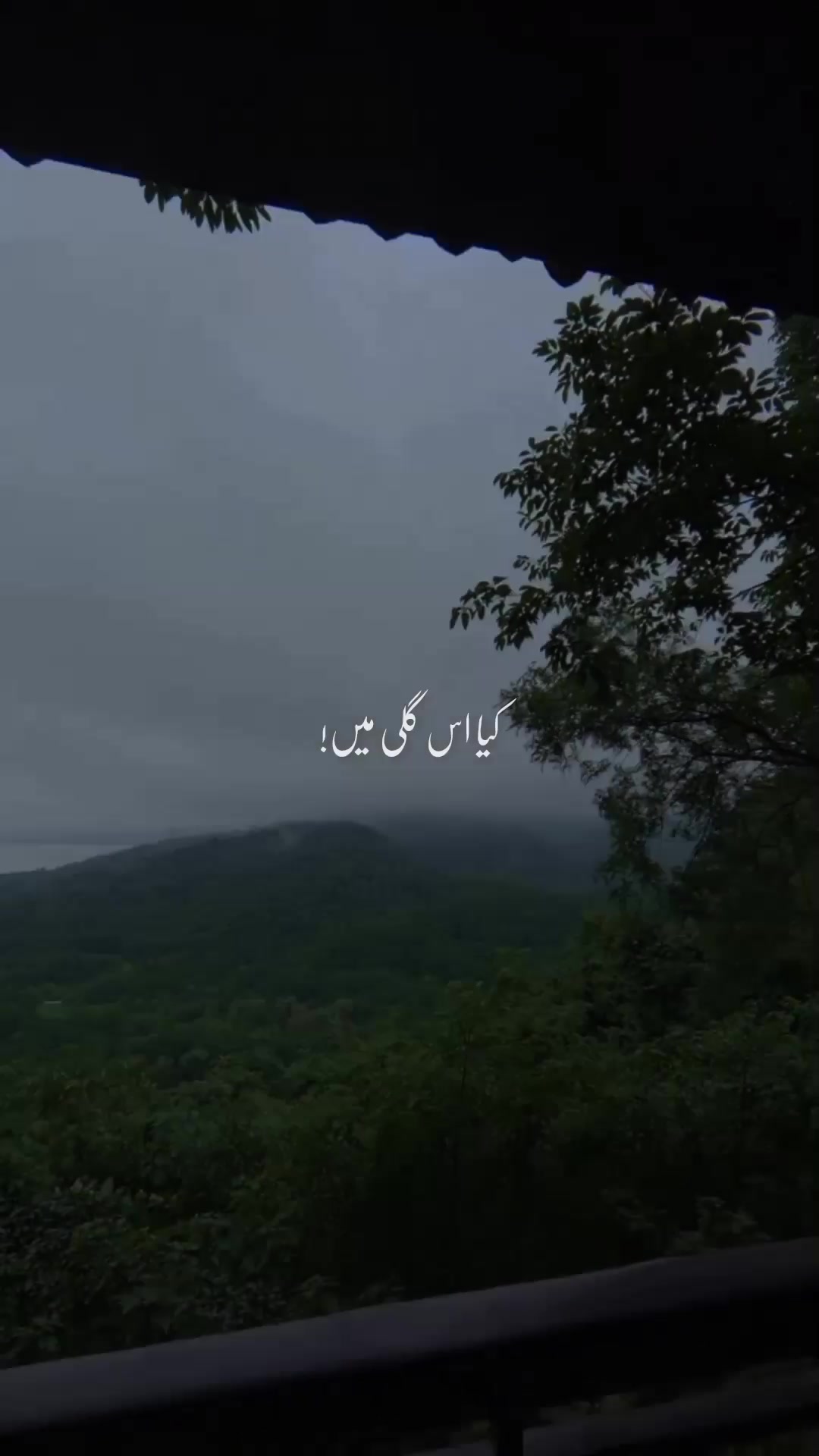 @𝘼 𝙇 𝙄 🚩